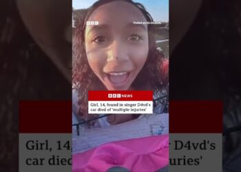 Celeste Rivas Hernandez was found dead in a Tesla registered to TikTok star D4vd. #D4vd #BBCNews