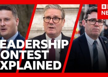 How would a Labour leadership contest work? | BBC News