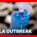 WHO declares Ebola outbreak in DR Congo a global health emergency | BBC News