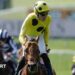 Billy Loughnane wins the 2,000 Guineas on Bow Echo