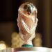 The World Cup trophy