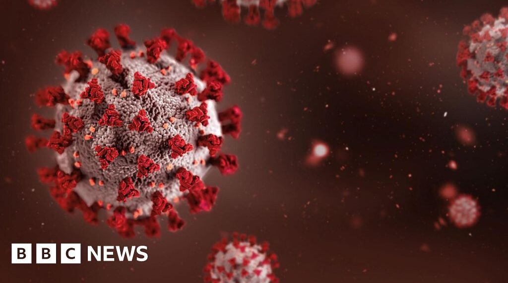 Africa summit in India postponed over Ebola outbreak fears