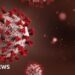 Africa summit in India postponed over Ebola outbreak fears