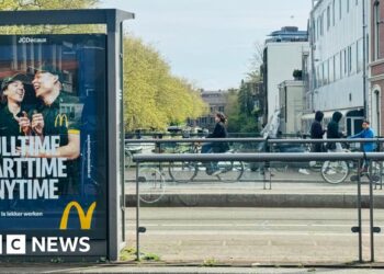 Amsterdam bans public adverts for meat and fossil fuels