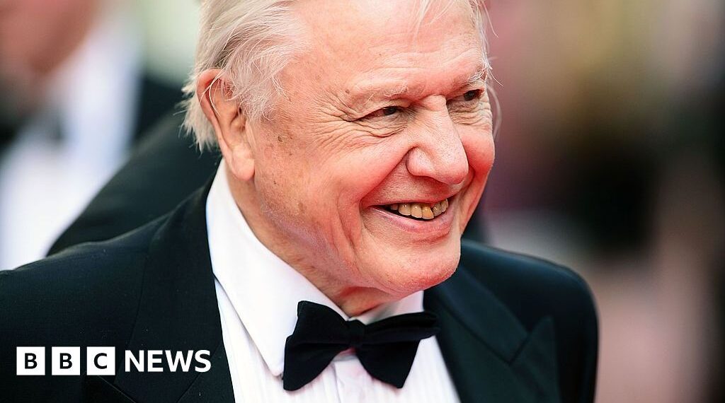Baby born on Attenborough's 100th birthday named after him