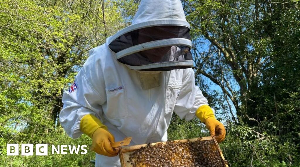'Beekeeping helps me clear my mind and get better headspace'