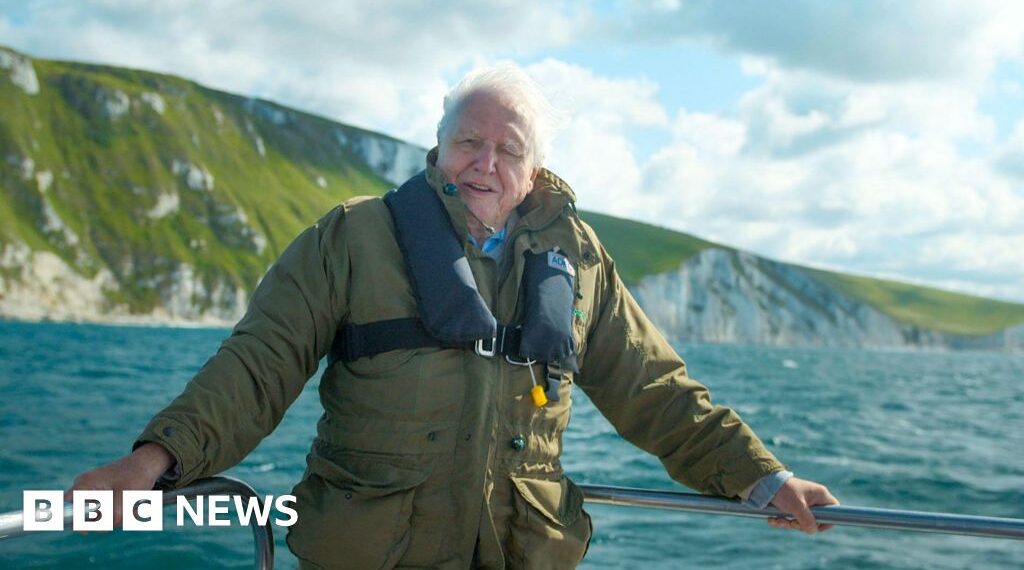 Celebrating David Attenborough's 100th birthday in the South