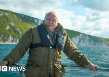 Celebrating David Attenborough's 100th birthday in the South