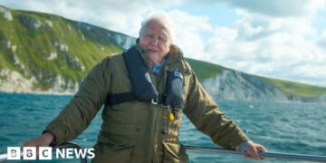 Celebrating David Attenborough's 100th birthday in the South