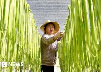 China should stop hoarding food and fertiliser, says former World Bank chief