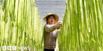 China should stop hoarding food and fertiliser, says former World Bank chief