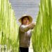 China should stop hoarding food and fertiliser, says former World Bank chief