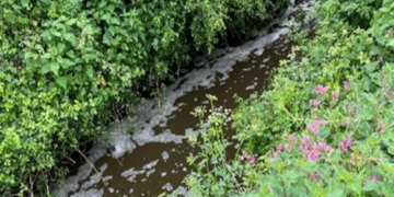 Companies pay out to charity after slurry incidents