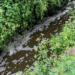 Companies pay out to charity after slurry incidents