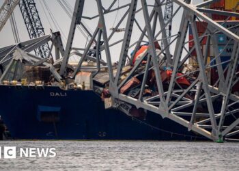 Dali ship operator charged over deadly  Baltimore bridge collapse