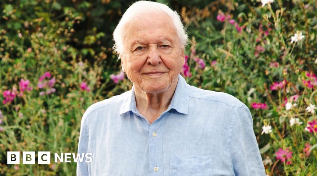 David Attenborough's 'secret superpower' celebrated on 100th birthday