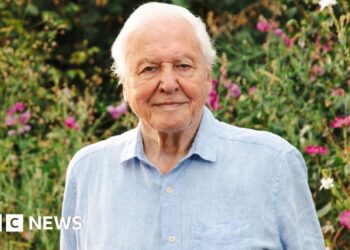David Attenborough's 'secret superpower' celebrated on 100th birthday