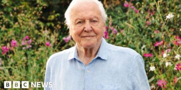 David Attenborough's 'secret superpower' celebrated on 100th birthday