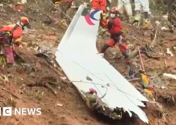 Deadly China plane crash was caused by fuel cut-off, says report
