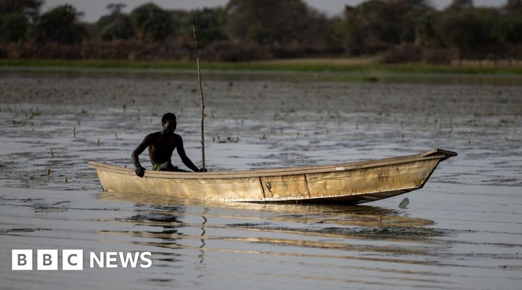 Dozens of Nigerian fishermen feared dead after Chad air strikes on Boko Haram