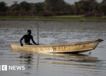 Dozens of Nigerian fishermen feared dead after Chad air strikes on Boko Haram