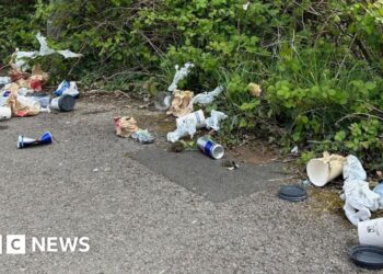 Drivers 'chucking stuff out of windows' blamed as litter on 99% of main roads