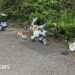 Drivers 'chucking stuff out of windows' blamed as litter on 99% of main roads