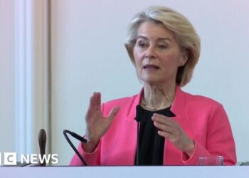 EU needs to delay social media access for children - von der Leyen
