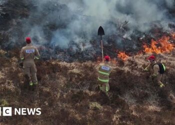 'Fire weather' contributing to longer wildfire seasons, say scientists