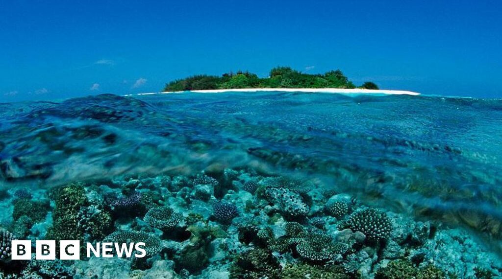 Five Italians die during cave scuba dive in Maldives
