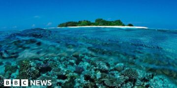 Five Italians die during cave scuba dive in Maldives