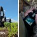 From AI to interceptors, Ukraine is trying to drone-proof its skies