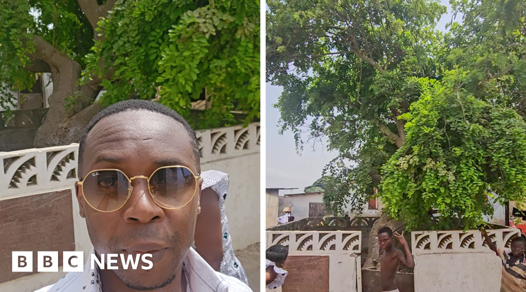 Ghanaian family traces its roots to a tree said to be planted in Apam in the 13th Century