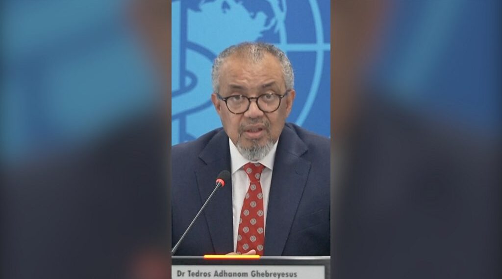 Hantavirus: WHO chief says public health risk is low