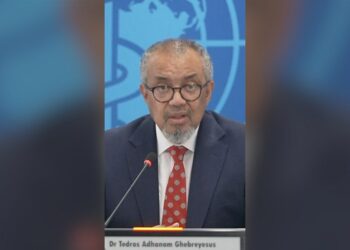 Hantavirus: WHO chief says public health risk is low