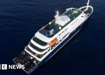 Hantavirus may have spread between passengers on cruise ship, WHO says