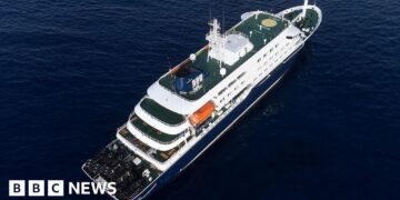 Hantavirus may have spread between passengers on cruise ship, WHO says