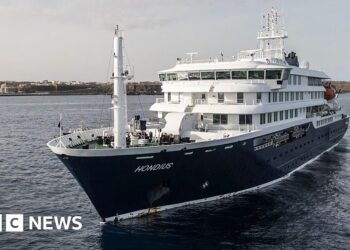 Hantavirus outbreak on cruise ship not start of pandemic, UN health agency says