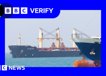 Hormuz ships plan paused 50 hours after Trump announced it - what happened?