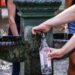 Hotels can refuse tourists tap water, Italy's top court rules