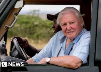 How Sir David Attenborough built 'Green Hollywood'