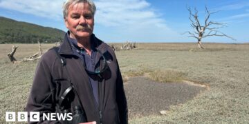 How a hurricane created a 'precious saltmarsh'