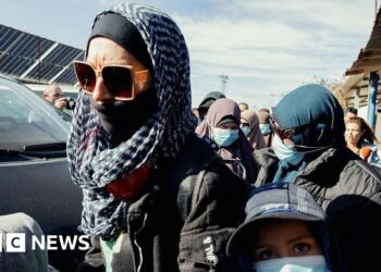 IS families in Syria have booked tickets home to Australia, minister says