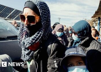 Islamic State-linked women arrive home in Australia from Syria