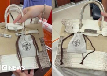 Jailed Vietnamese tycoon's Birkin bags sell for more than $550K