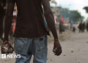 Kenya battles to stop the 'goons and guns' as fears of political violence grow