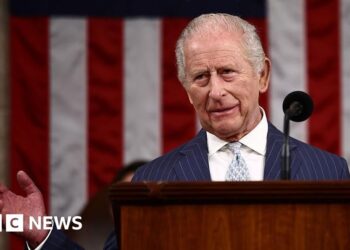King's speech was a 'high stakes' moment of US visit, Palace says