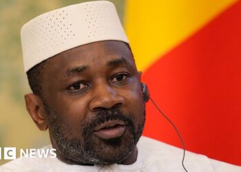 Mali junta leader names himself defence minister after predecessor killed
