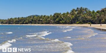Man killed in shark attack off Australia's north-east coast