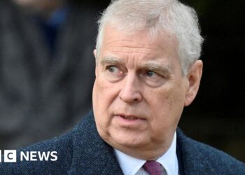 Man pleads not guilty to threatening Andrew Mountbatten-Windsor